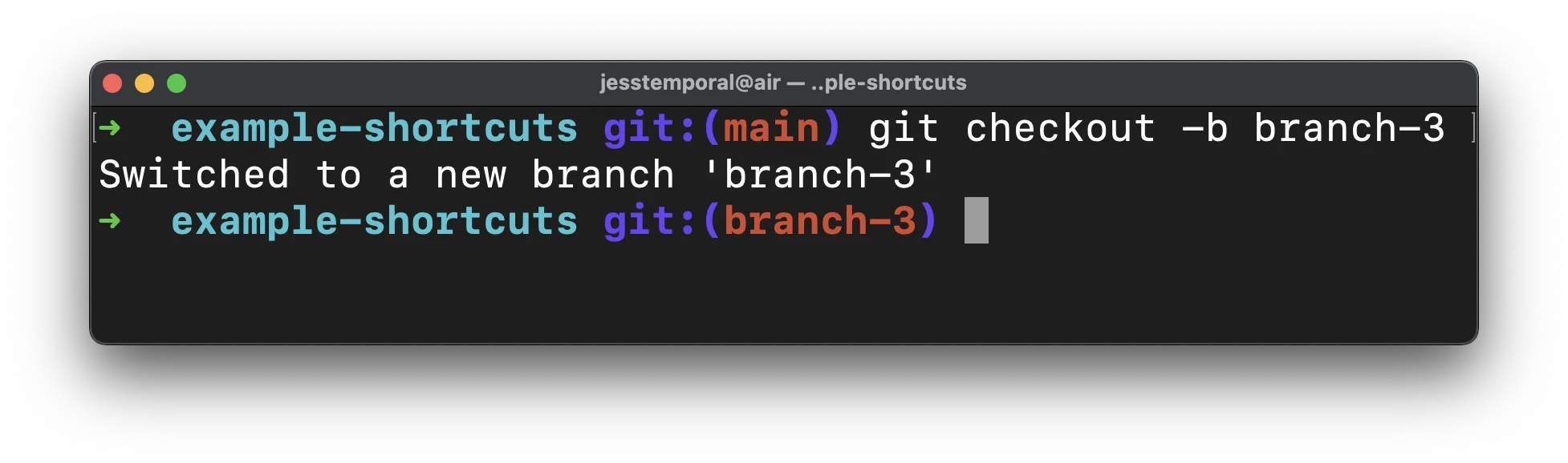 image showing the result of the command git checkout -b branch-3