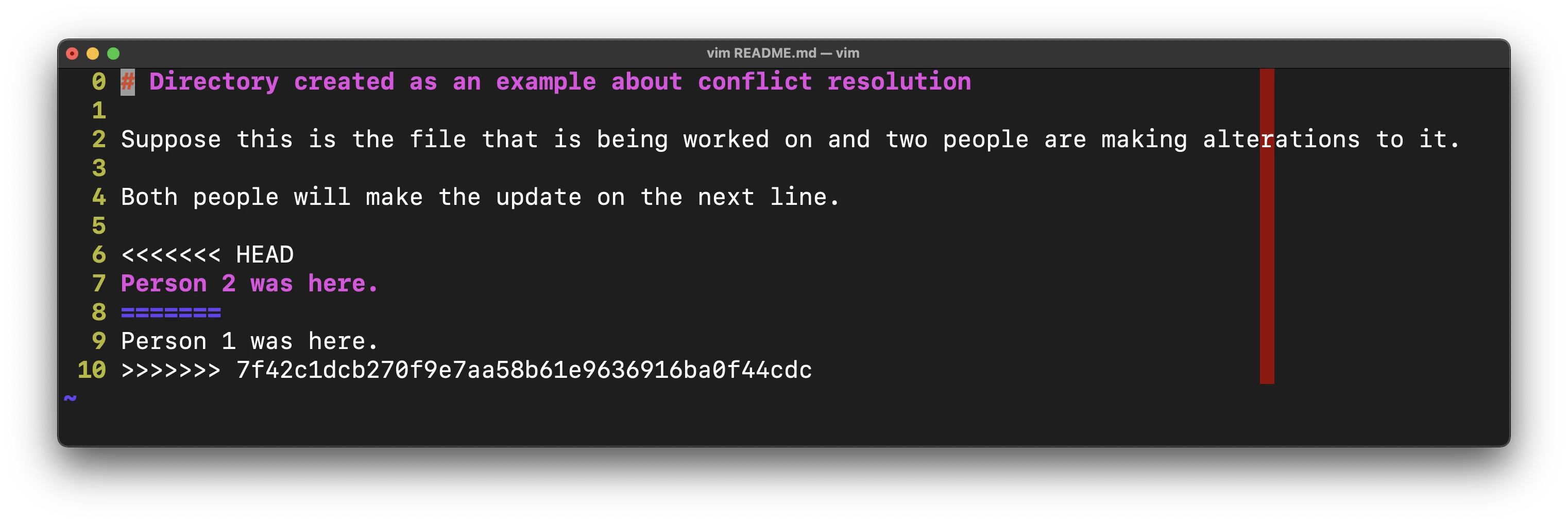 image showing the conflict on VIM editor