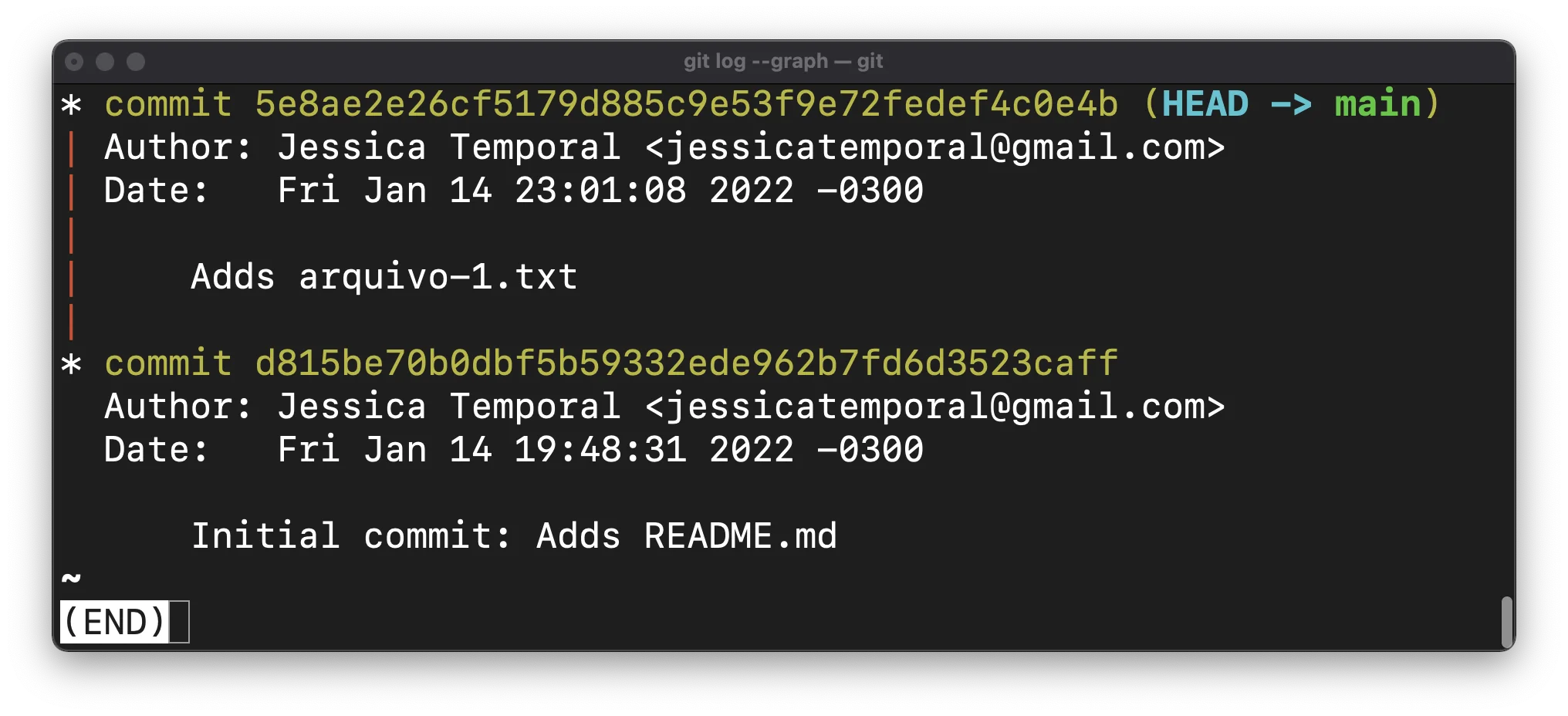 Screenshot showing the Git history in the terminal with two commits