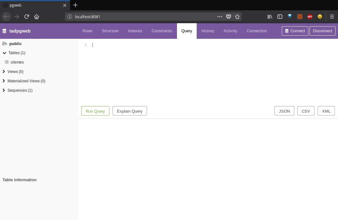 pgweb initial page after connection