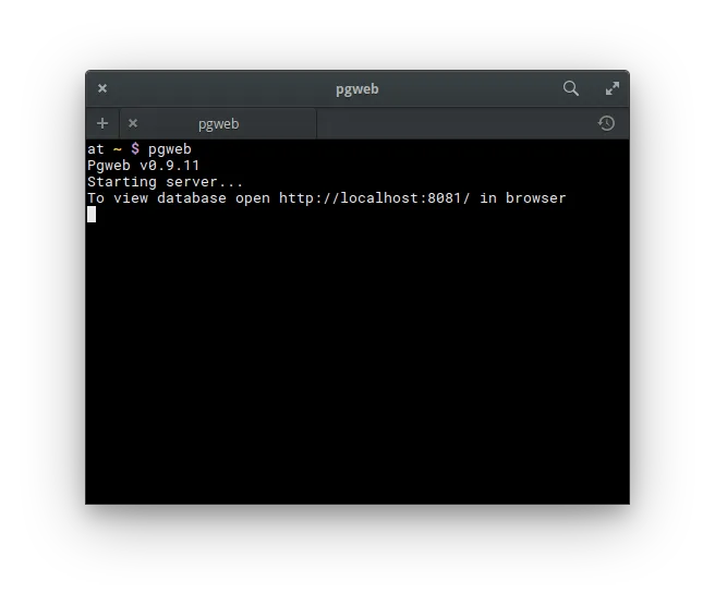 terminal running pgweb
